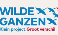 wildganzen logo